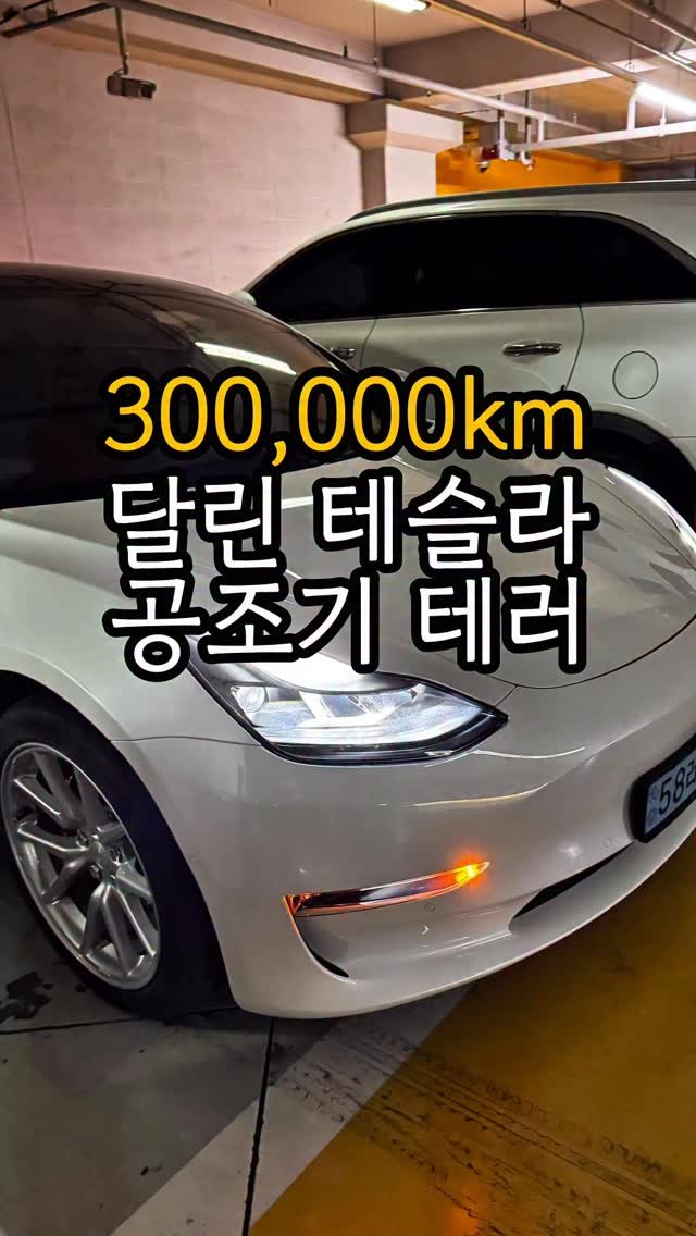 carong_korea 게시물 이미지: 필터에도 곰팡이가 번지는 테슬라😰

냄새도 나지만 건강까지 위협해요😵

공조기크리닝...