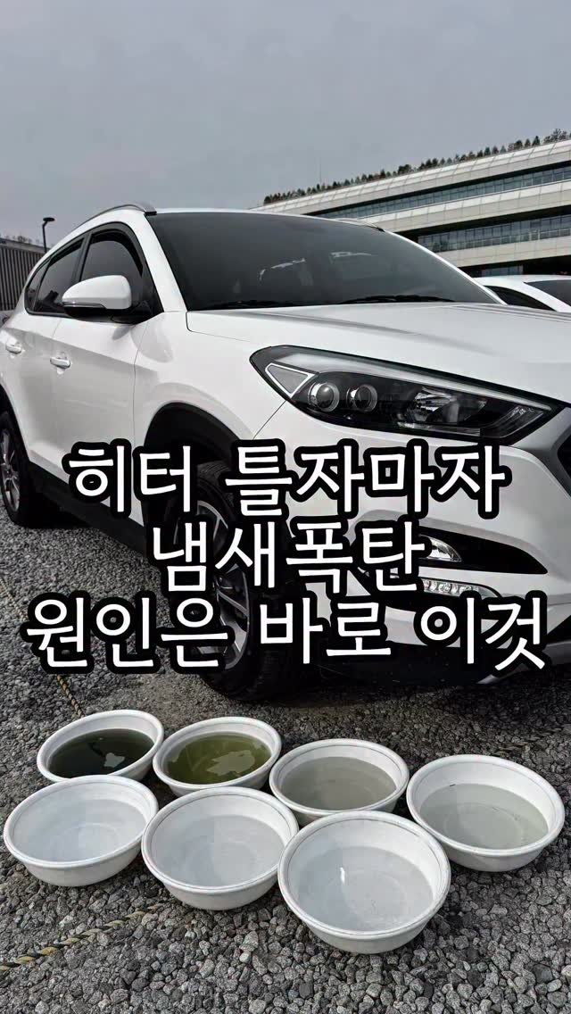 carong_korea 게시물 이미지: 오랜만에 히터를 켜보니 청국장냄새가 나신데요😥

5살 꼬마가 타는 차량 실내공기...