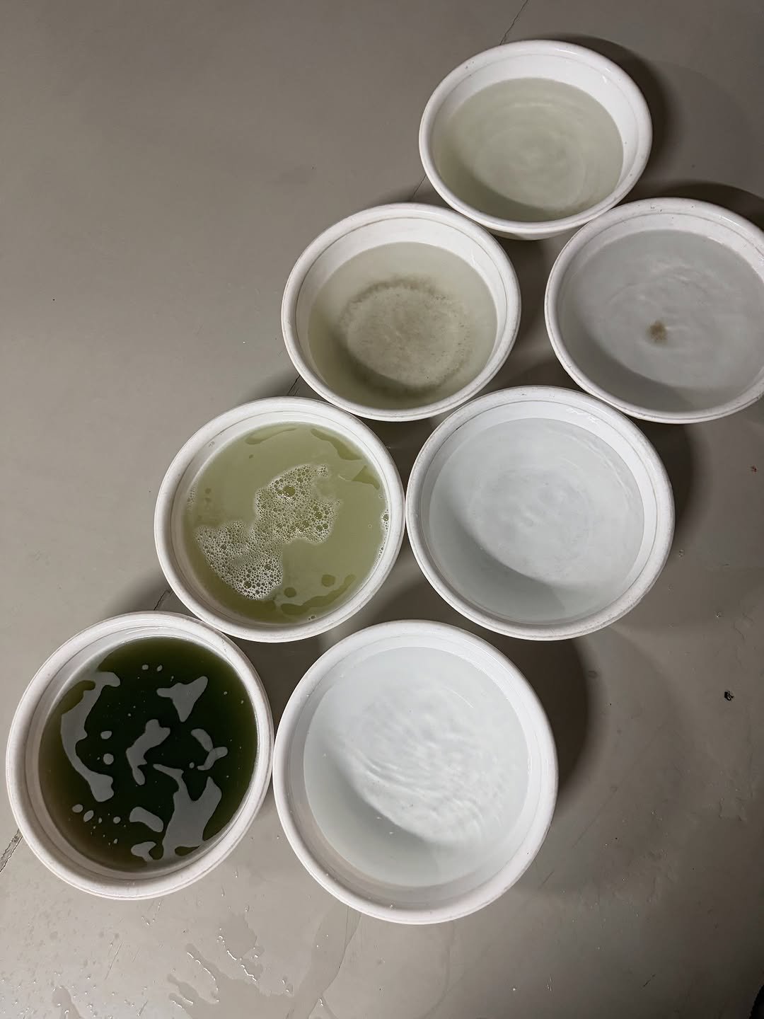 Photo by 카롱코리아 | 대전에바크리닝•세종에바크리닝•천안에바크리닝•청주에바크리닝•에바크리닝•자동차에어컨냄새•에바크리닝전문점 on August 29, 2025. May be an image of guppy, reptile and seedlings.