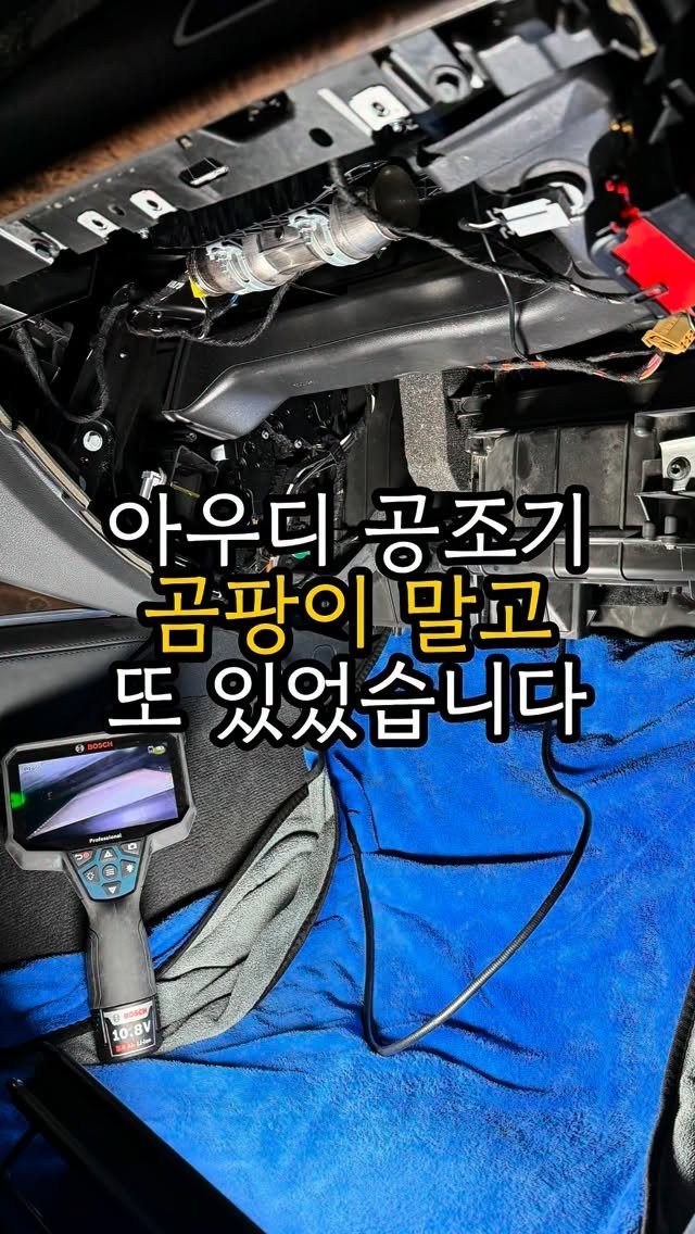 carong_korea 게시물 이미지: 오늘 아우디 A7 공조기를 열어보니

평소와는 다른 이상한 오염이...