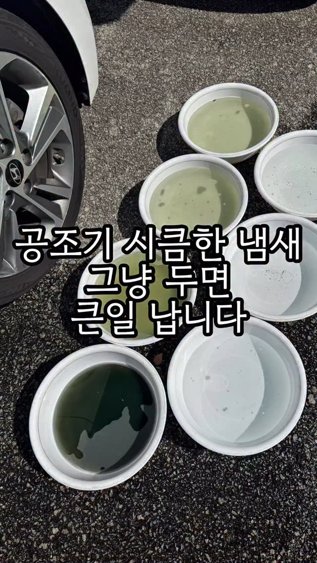 carong_korea 게시물 이미지: 차량에서 에어컨 히터늘 켜면 어떤 냄새가 나시나요?

맑고 쾌적한 바람이면...
