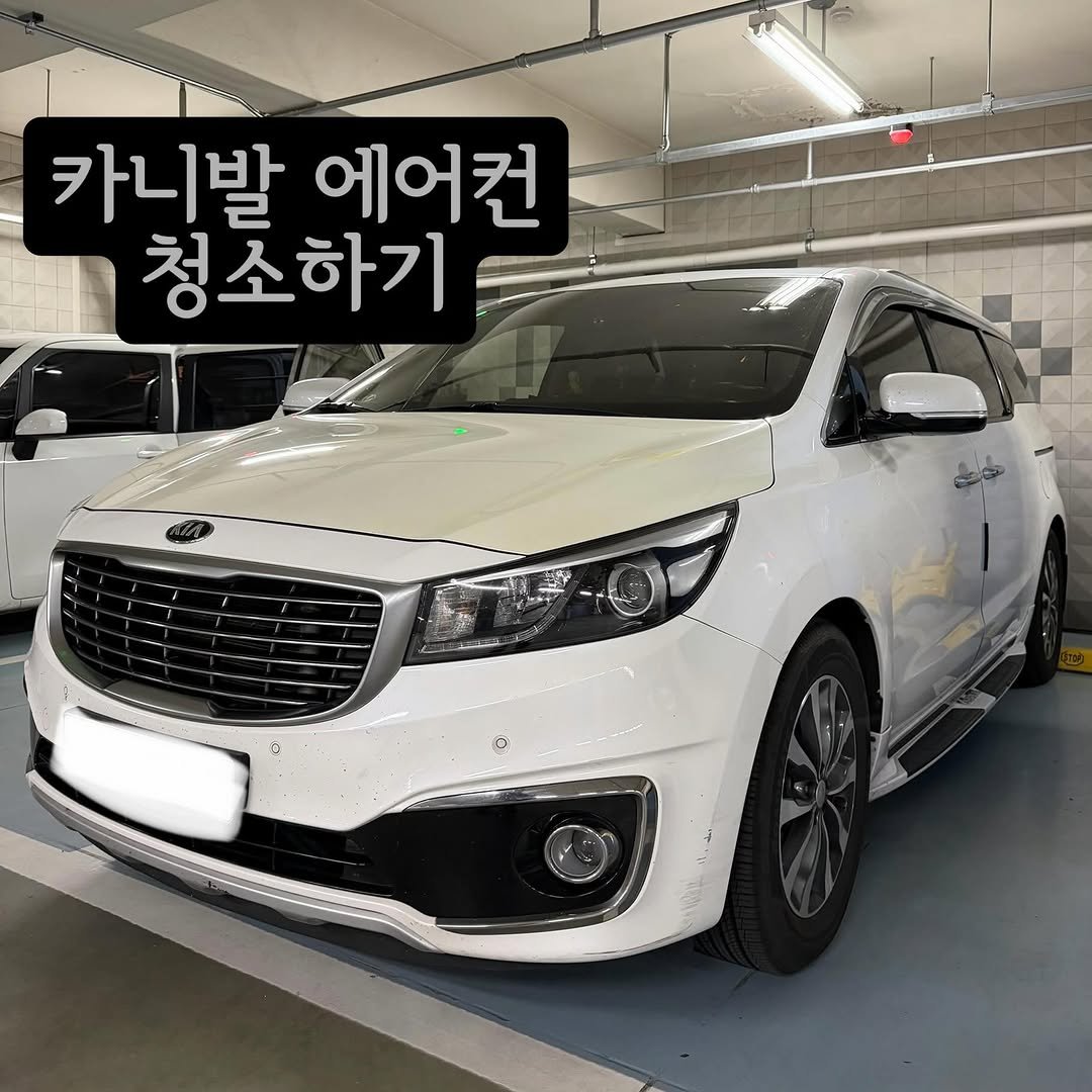 carong_korea 게시물 이미지: 카니발 차주님들-‼️

에어컨에서 냄새나는 분들 안계신가요🫢

오늘 차주님도...
