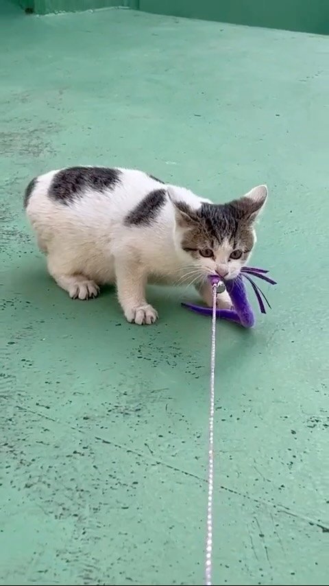 carrie_soonshim 게시물 이미지: 참말루,, 피는 물보다 진하지 않습니까? @yangdal_2