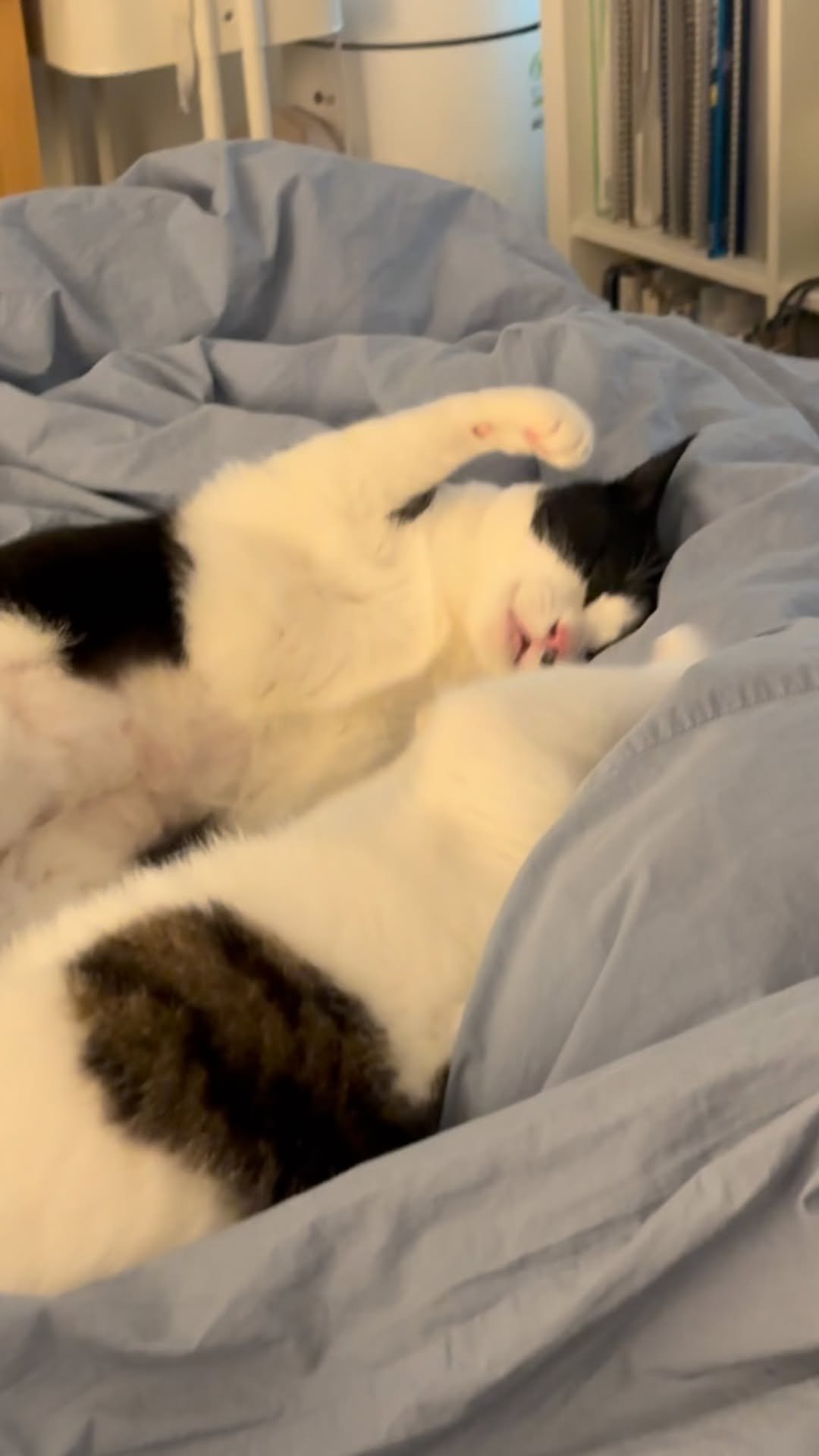 carrie_soonshim 게시물 이미지: 하나둘셋 하면 같이 주먹 내리기야~