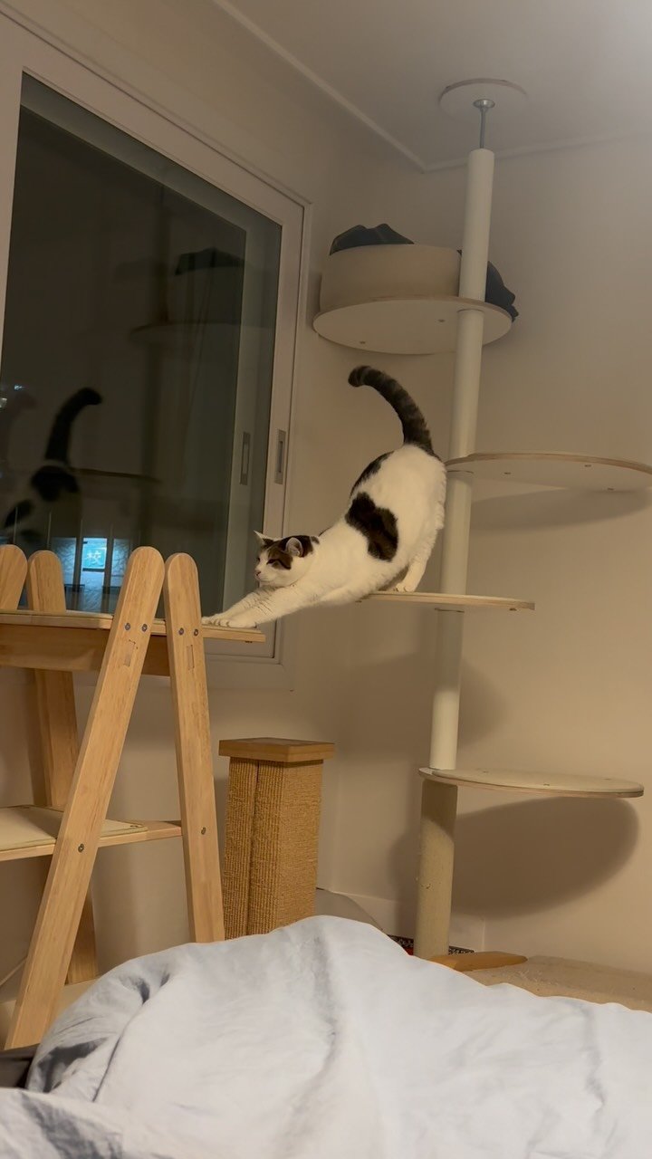 carrie_soonshim 게시물 이미지: 오구구 시원해? 매일 다니는 길이지만 항상 느릿느릿 조심스럽게 움직이는 뚱심