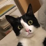 carrie_soonshim 인스타그램 프로필 사진