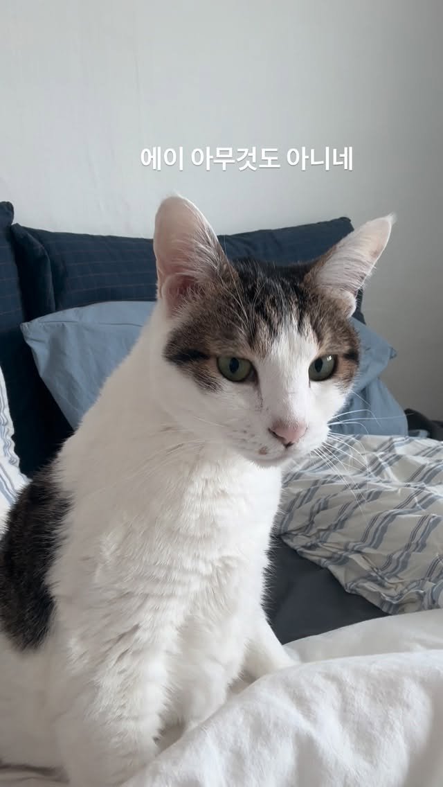 carrie_soonshim 게시물 이미지: 우리집 똥강아지