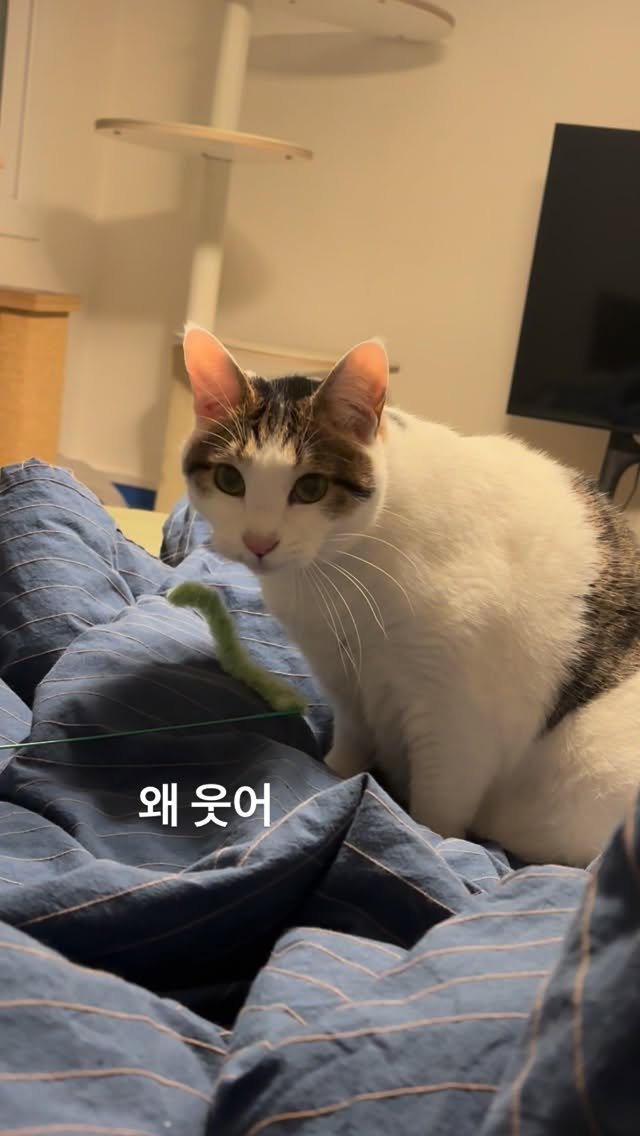 carrie_soonshim 게시물 이미지: 너 귀여워서.