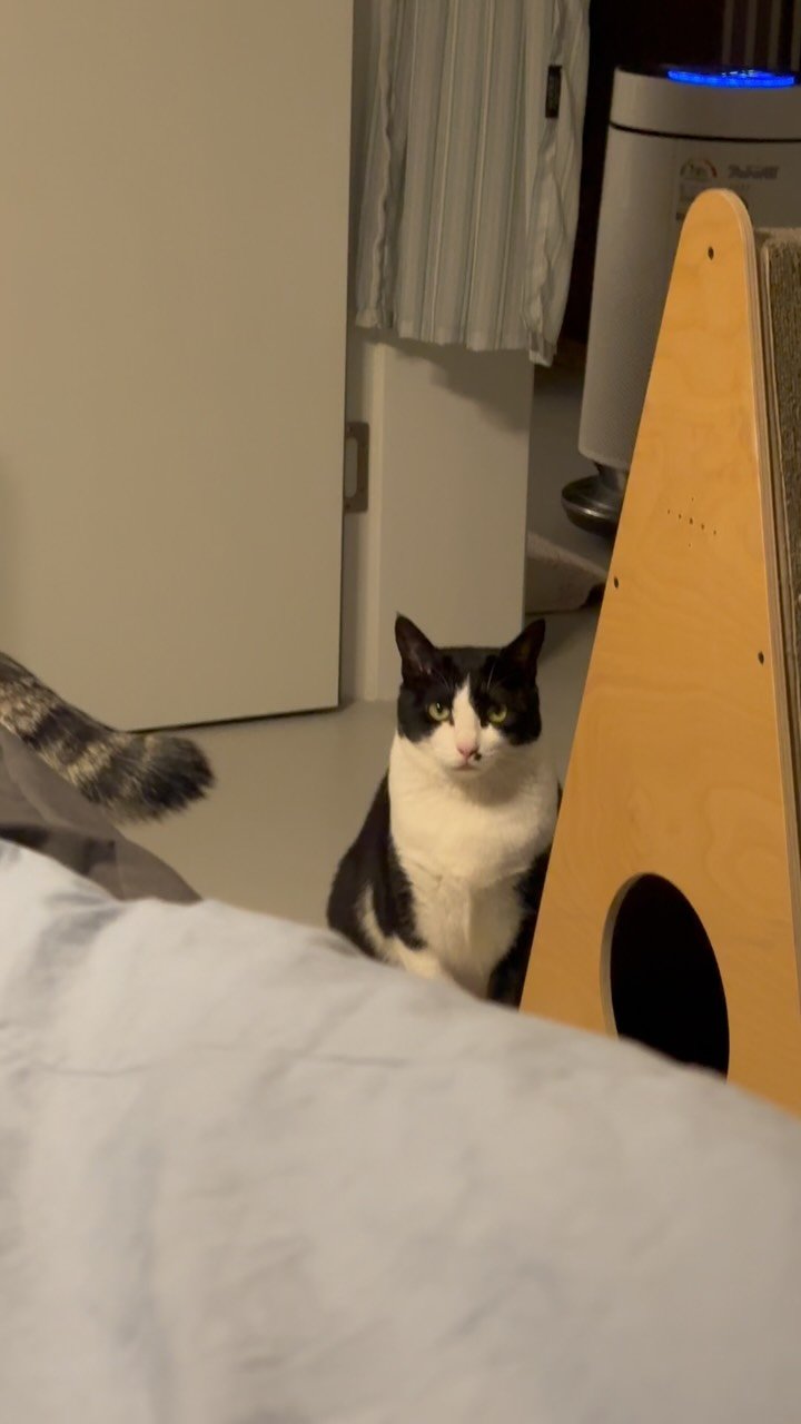 carrie_soonshim 게시물 이미지: 습식 먹고 싶다네요