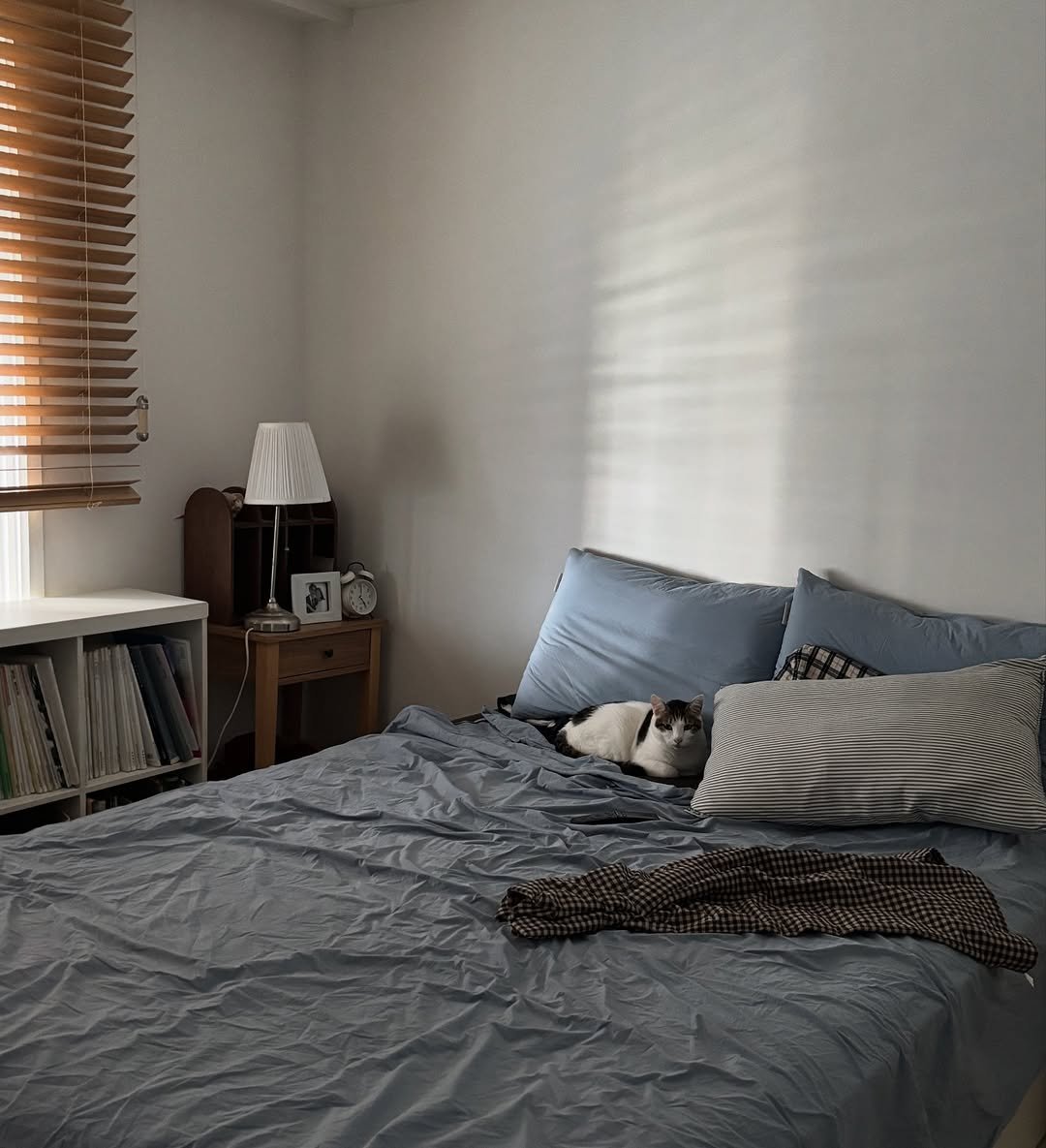 Photo by 캐리와 순심이의 집 on September 21, 2025. May be an image of bed, mattress, headboard, bedroom, indoors and text.