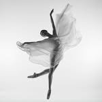 balletfit_mom 프로필 사진