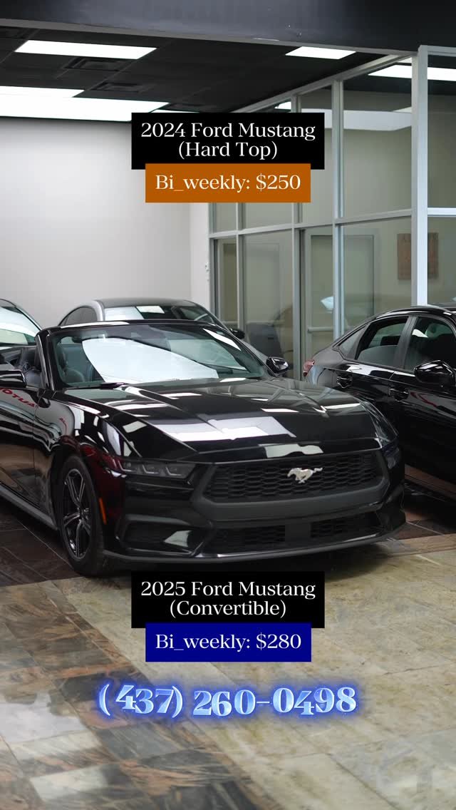 cars_by_harryy 게시물 이미지: Looking for a mustang?