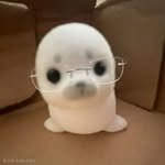 feeelsun 프로필 사진
