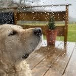 jehwwn 프로필 사진