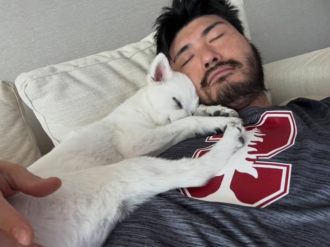 carthegarden 게시물 이미지: zZZ