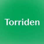 torriden_vn 프로필 사진
