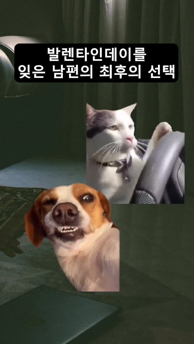 cassiopeia_book 게시물 이미지: 발렌타인데이를 잊은 남편의 최후의 선택

#발렌타인 #발렌타인데이 #온마음으로널사랑해 #그림책