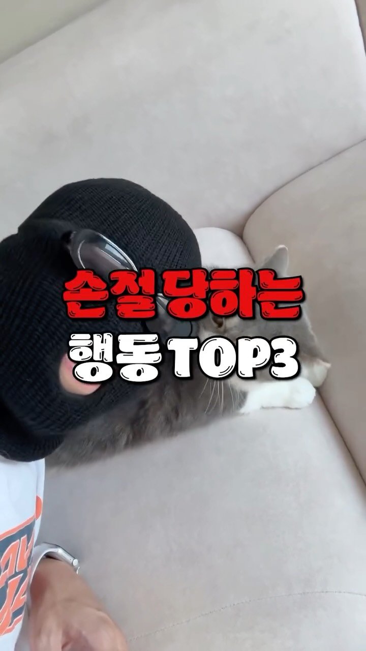 cat_teacher60 게시물 이미지: 고양이한테 손절당했던 행동 TOP3