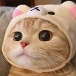 haappy__smile 프로필 사진