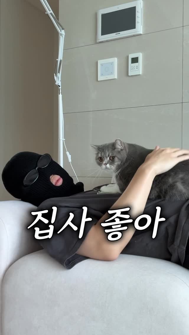 cat_teacher60 게시물 이미지: 고양이가 집사 무릎 위에 앉는 진짜 이유