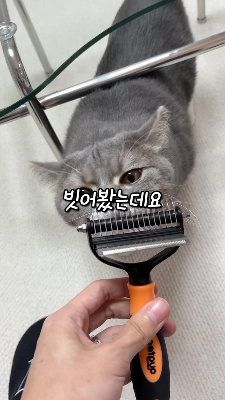 cat_teacher60 게시물 이미지: 고양이 털 날림 90% 이상 해결해 준다고?