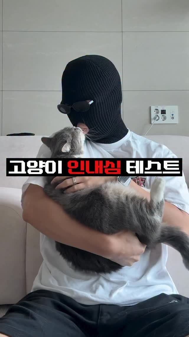 cat_teacher60 게시물 이미지: 우리 고양이 인내심은 과연 몇 점?