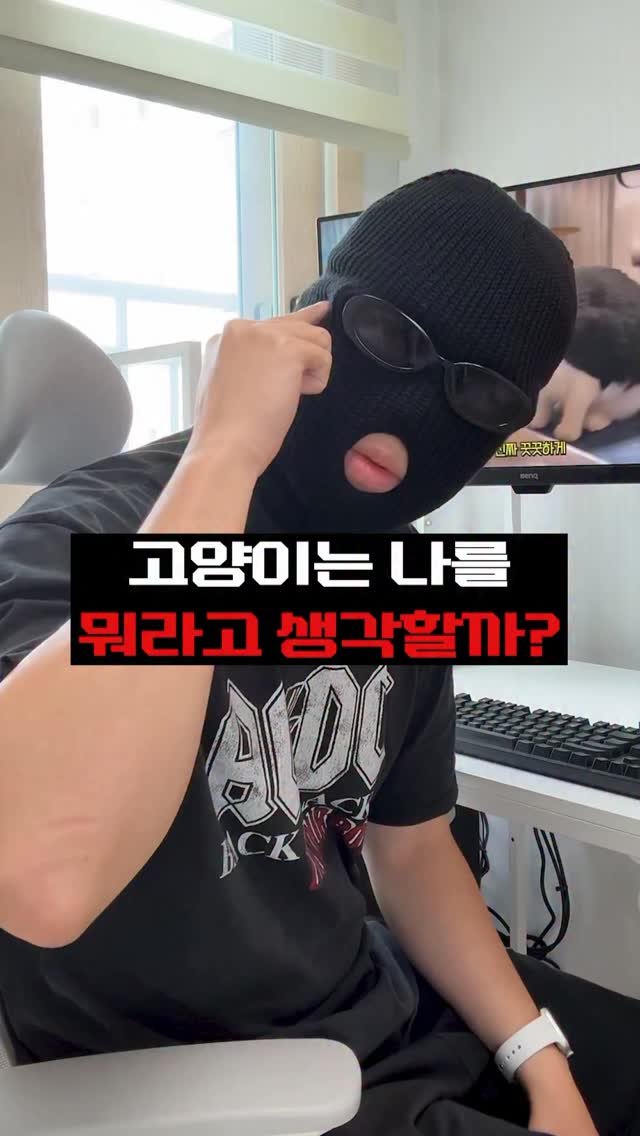 cat_teacher60 게시물 이미지: 고양이는 나를 뭐라고 생각할까?