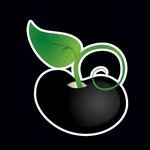 caraotadigital 프로필 사진