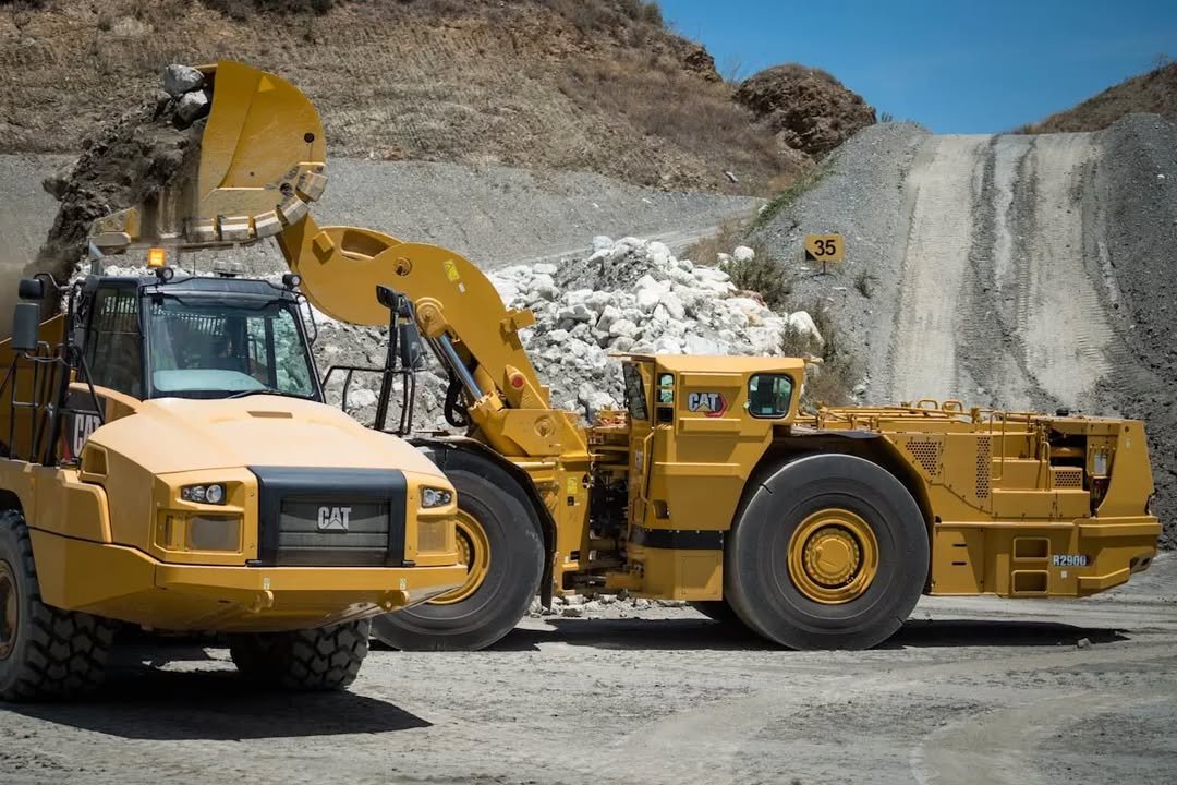 Photo by Cat Underground Fan Page on August 05, 2022.