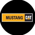 mustang.cat 프로필 사진