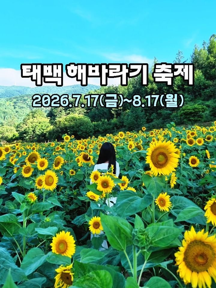 cbin_s2 게시물 이미지: 태백 구와우 마을 🌻해바라기 축제🌻
✔️날짜 :...
