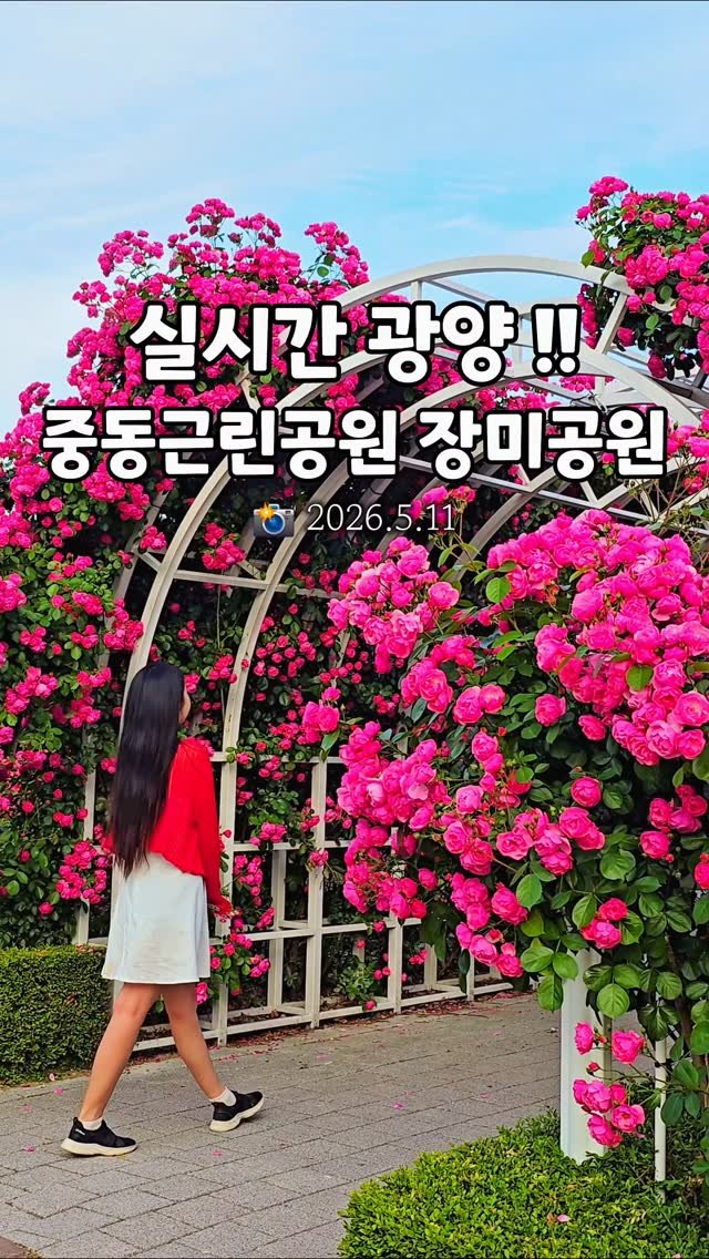 cbin_s2 게시물 이미지: (실시간) 순천 근교 광양 장미명소 😍🌹 
넘 늦게가서 햇빛이 다 사라져서...