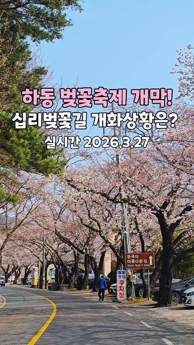 cbin_s2 게시물 이미지: (저장•공유) 오늘 군항제와 동시에
하동 화개장터 벚꽃축제도 개막을...