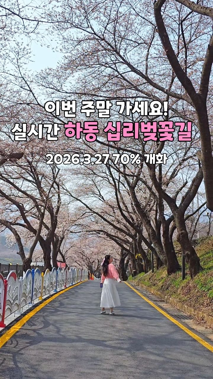 cbin_s2 게시물 이미지: (저장•공유) 하동 십리벚꽃길 오늘 모습입니다!
축제는 오후 3시부터 진행되서...