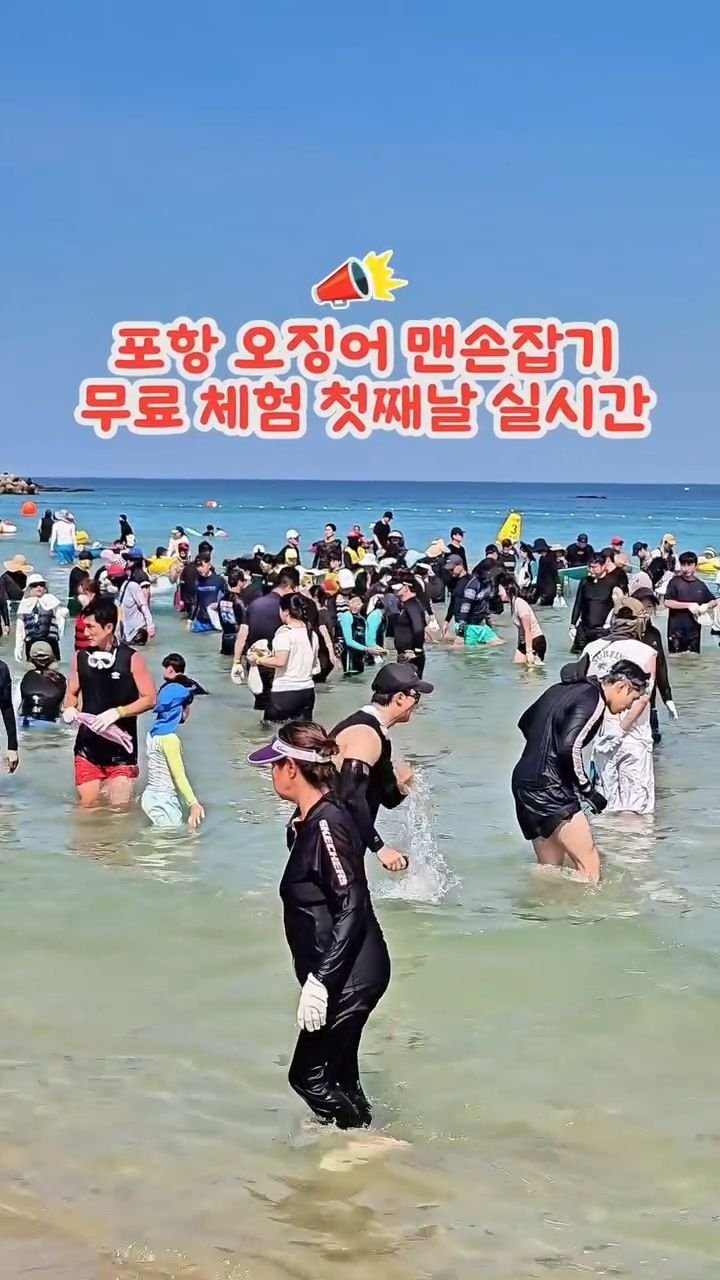 cbin_s2 게시물 이미지: (실시간) 포항 오징어맨손잡기 무료 체험 🦑‼️
구룡포 여행객들이 줄어 마을을...