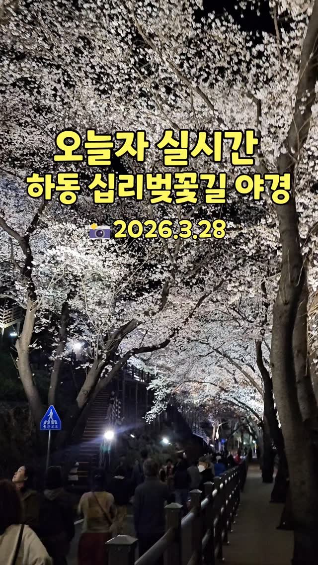cbin_s2 게시물 이미지: (저장•공유) 하동에 벚꽃이 만개한 지금!🌸
꼭 봐야할 것은 야간 경관 점등...