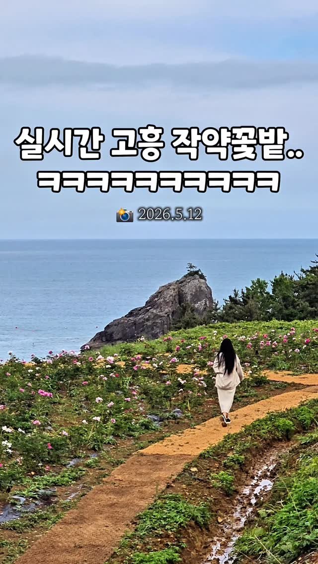 cbin_s2 게시물 이미지: (실시간) 2026.5.12 new 고흥 작약꽃밭 !!!!!
ㅇ ㅖ ,, 비...