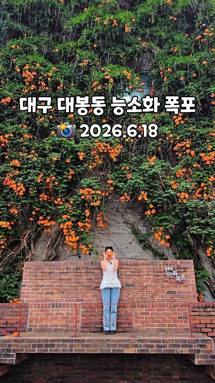 cbin_s2 게시물 이미지: (저장&공유) 대구 대봉동 능소화 폭포 🧡

대구는 진짜 능소화 클라스가 남다르다...