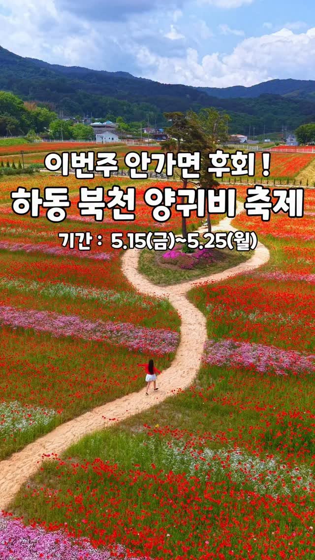 cbin_s2 게시물 이미지: (저장&공유) 지금 가면 가장 이쁜
2026 하동 북천 꽃양귀비 축제 (🌼❛ ֊...