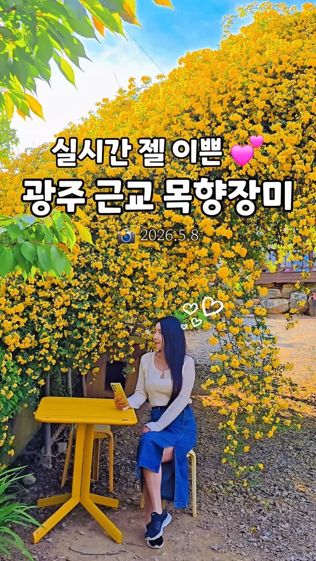 cbin_s2 게시물 이미지: (실시간) 목향장미 놓친 곳이 넘 많아서
아쉬운 마음에 들려본 곳 💛💛💛
아니,,...