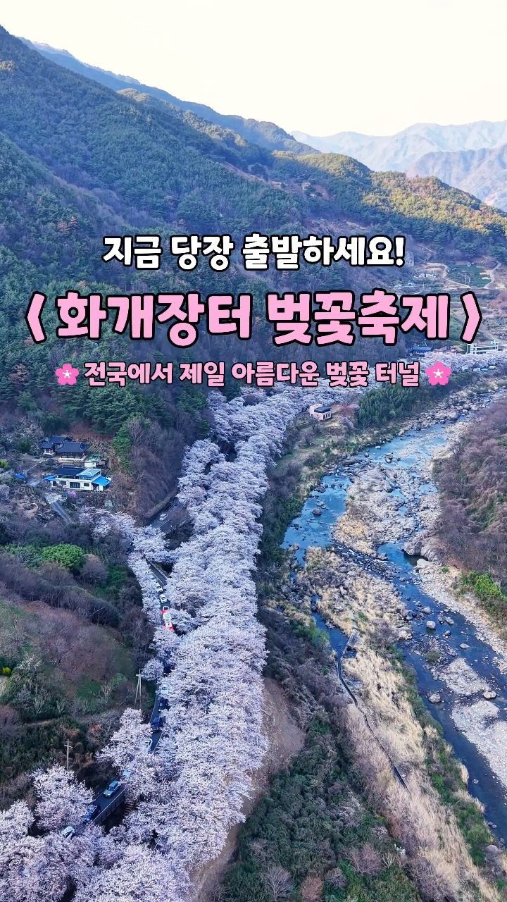 cbin_s2 게시물 이미지: 💡 제 15기 하동군 sns 기자단 정보라
한국에서 가장 아름다운 길인
십리벚꽃길...