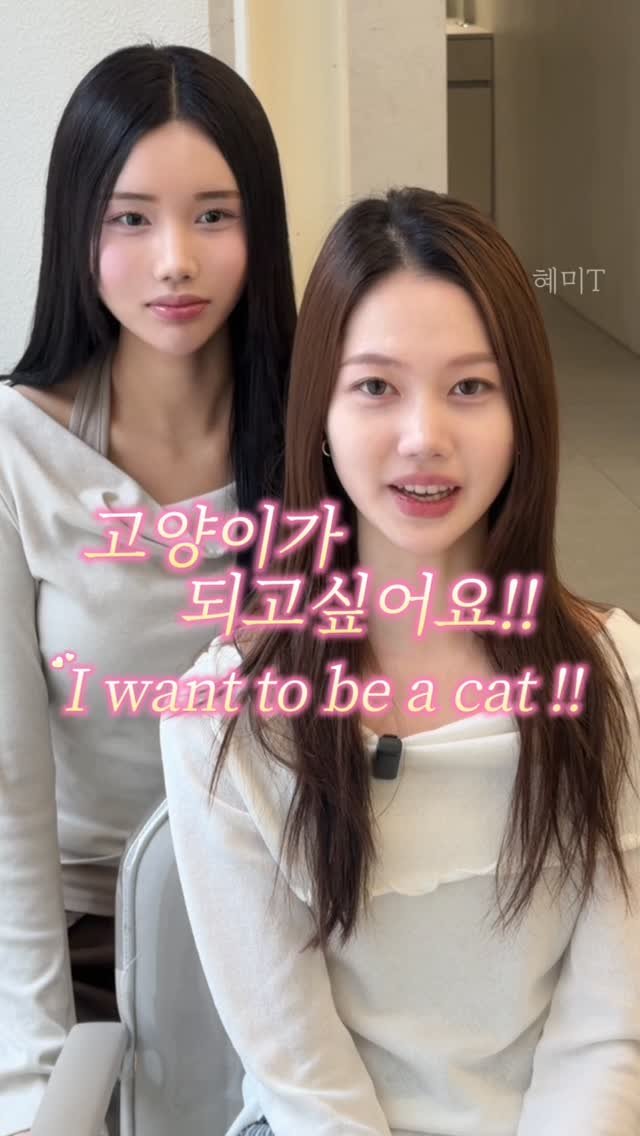 cconte__phm 게시물 이미지: 저 고양이가 되고싶어요🐈‍⬛🤍

우리 청초한 고객님
밝은머리도 여리여리하니 잘...