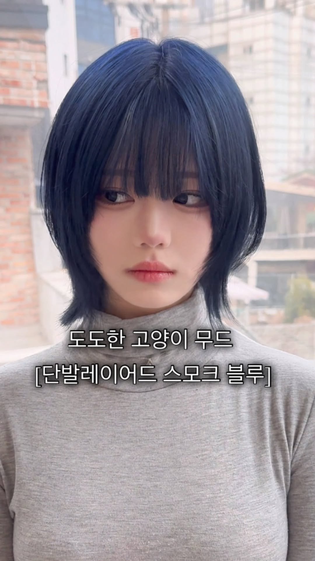 cconte__woody 게시물 이미지: 도도한 고양이 무드 

[단발레이어드 스모크 블루]

#단발레이어드 #스모크블루...