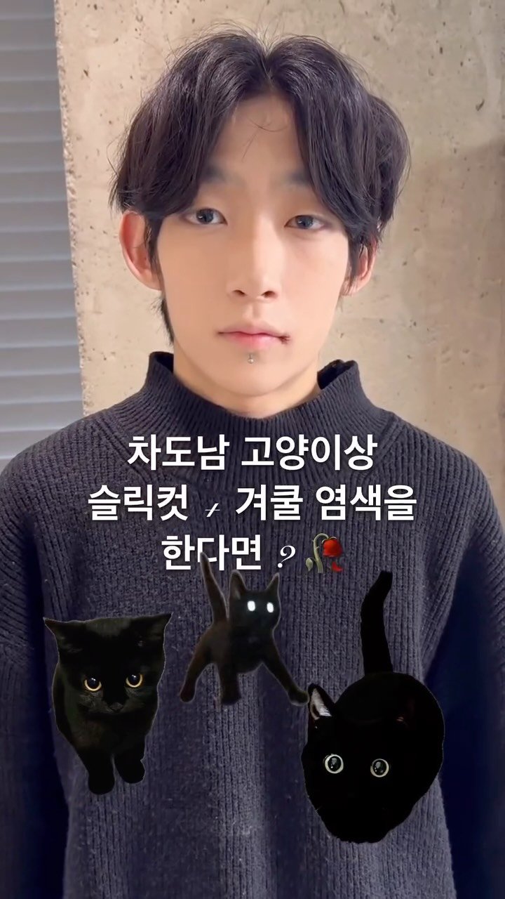 cconte__woody 게시물 이미지: 차도남 고양이 상 겨쿨 + 슬릭컷과 만난다면 ? 🐈‍⬛🥀

겨울 쿨톤 정석 스모키...