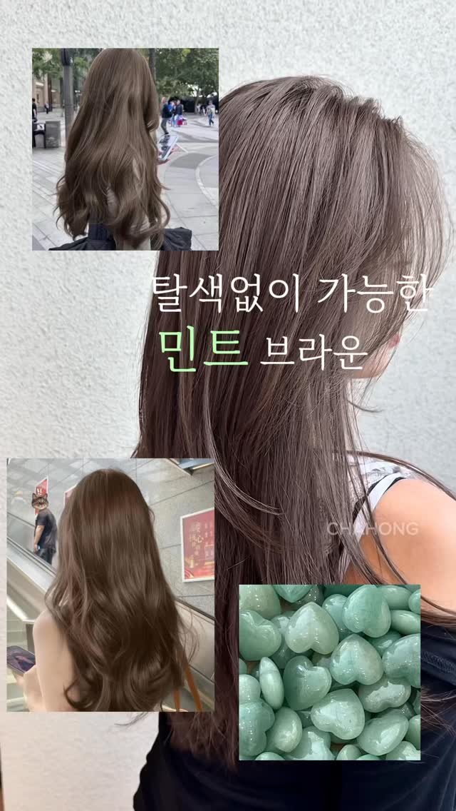 ch_hosuun 게시물 이미지: 하이레이어드펌에

민트코어더하기++

붉은기 노란기잡는 치트키

#탈색없이염색...