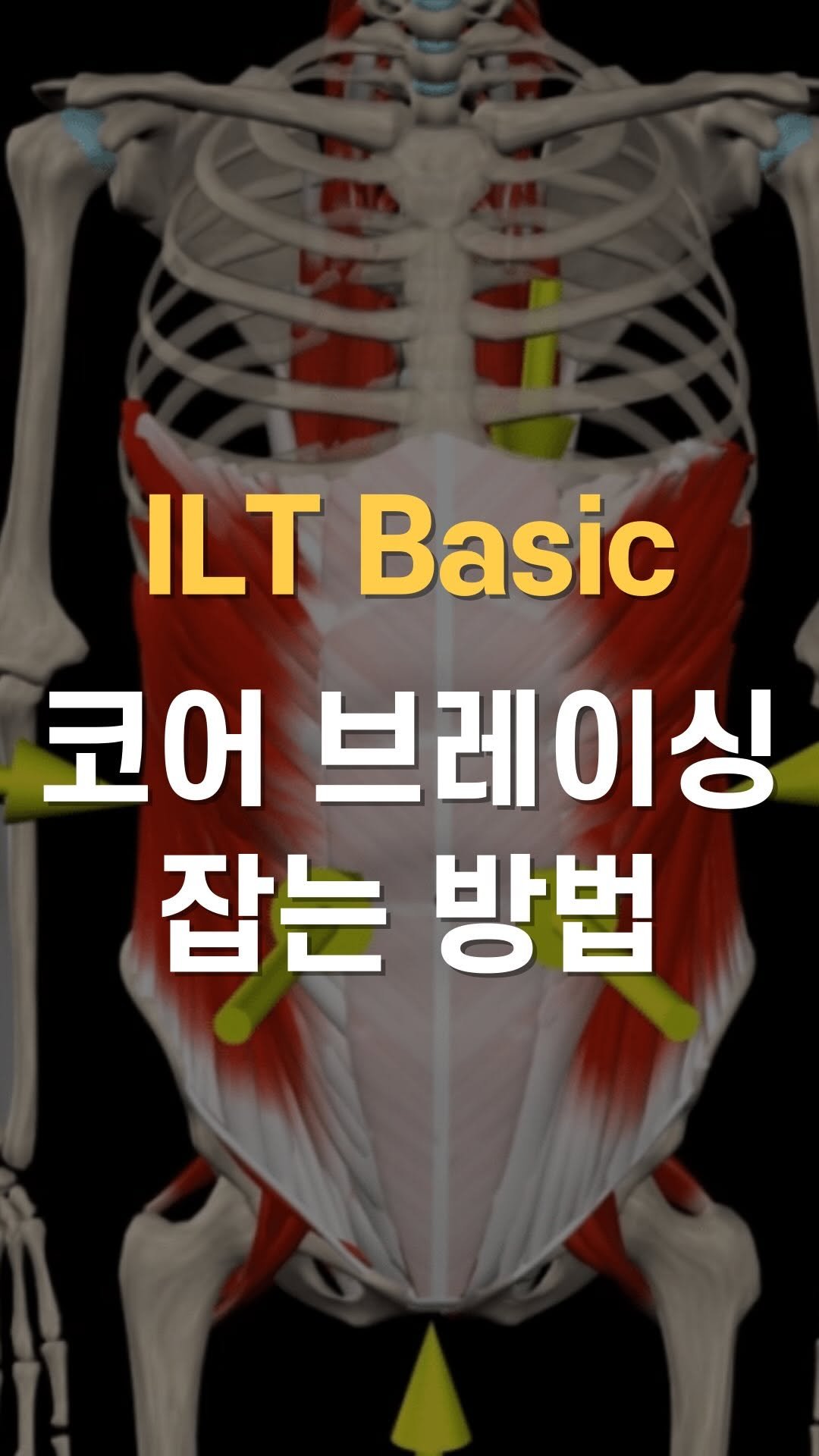 cha__nii_bepro 게시물 이미지: 허리통증 고객 또는 환자에게
운동을 지도 할 때 
브레이싱(Bracing) 지도를...