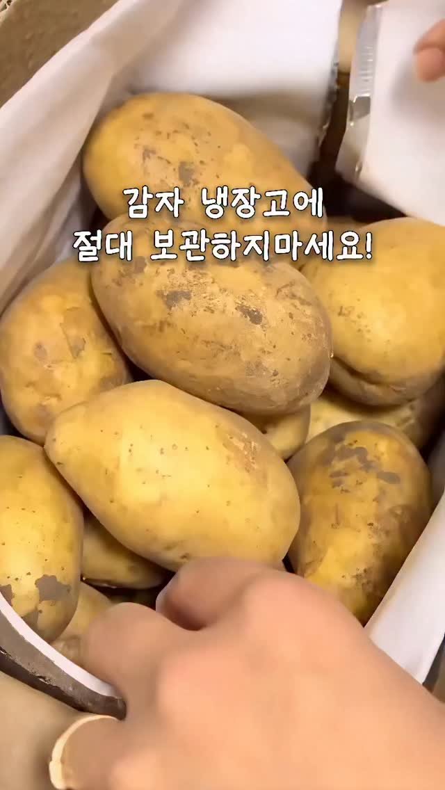 chae2home 게시물 이미지: ❤️댓글에 나도 남겨 주세요😉
감자 농사짓는 저희 시아버지가 알려 주신...