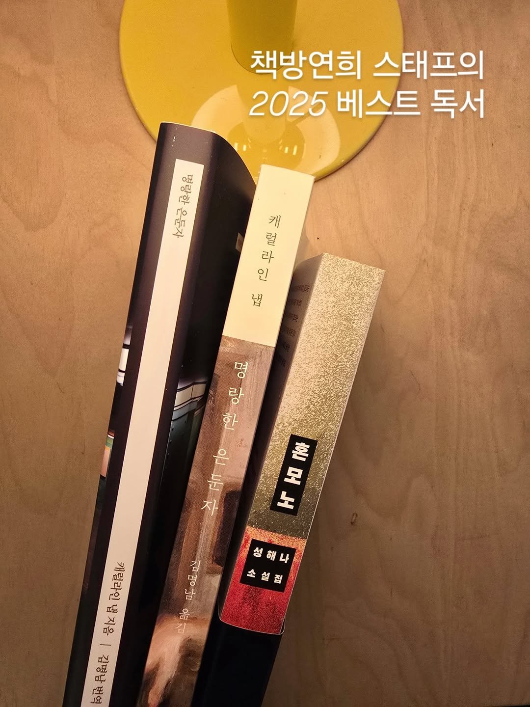 Photo by 책방 연희 chaegbangyeonhui on December 25, 2025. May be an image of baby's-breath and text.