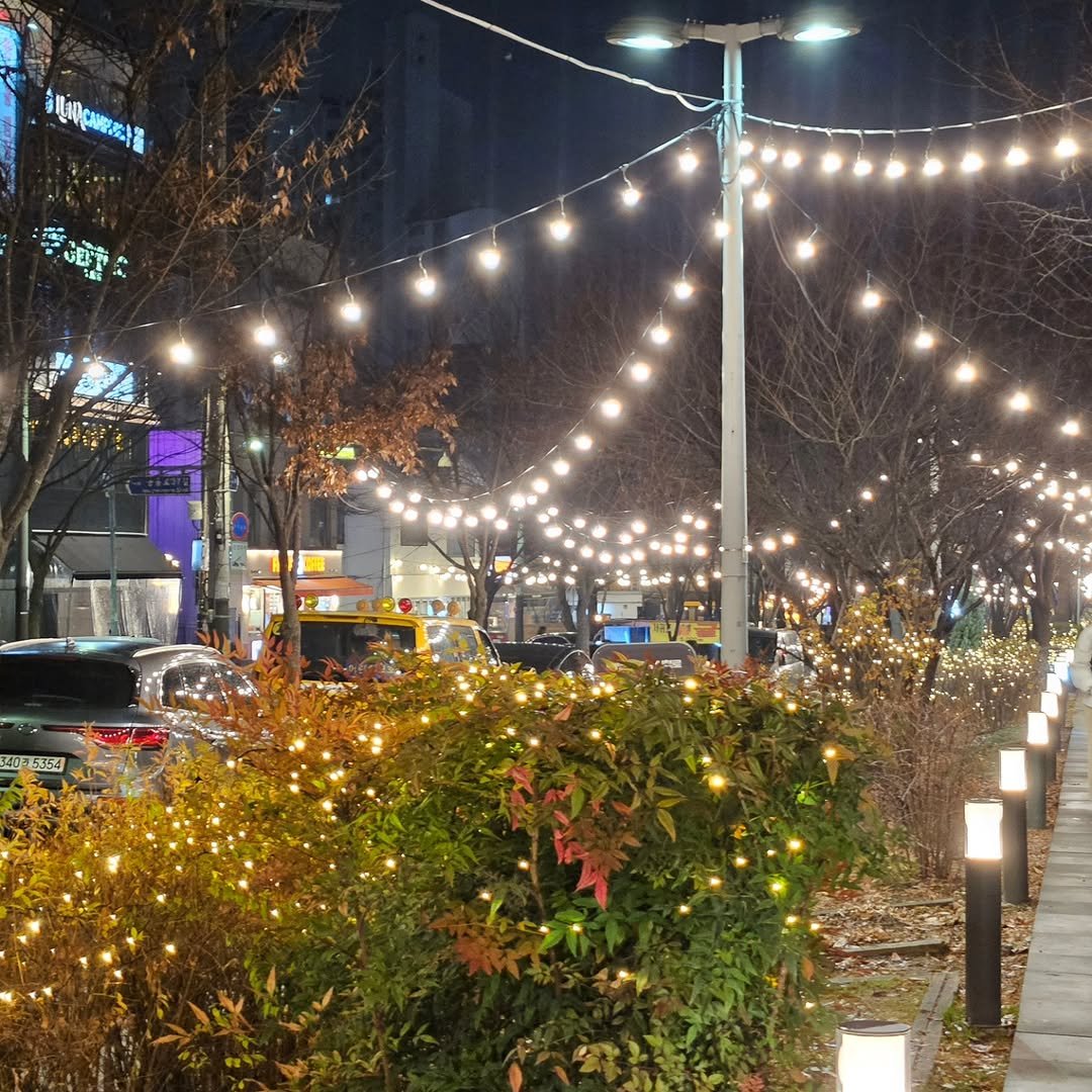 Photo by 책인감_책방&카페&1인출판&강연 on December 24, 2025. May be an image of lighting, lantern, lightbulb, street, night, lamppost and text.