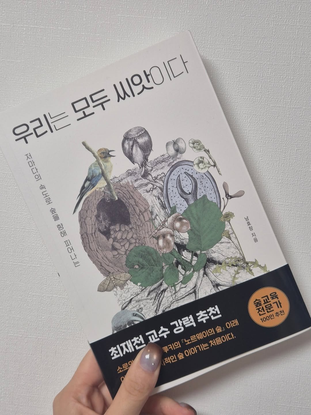 Photo by 책이라는신화 on October 31, 2025. May be an image of book, magazine and text that says '우리는 모두 씨앗이다 百古芯可 KHTLHNH 金電欲活百西コル 金温 微者 百コJ 招豆書 to 0 숲교육 전문가 추천 100인 최재천 교수강력추천 교수 노르웨이의숲 강력추천 会 이래 루키의 적인숲이야기는처음이다. 이야 처음이다. 적인 술이야기는 숲 소로이'.